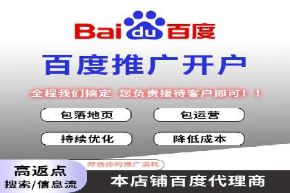 百度竞价广告投放策略案例